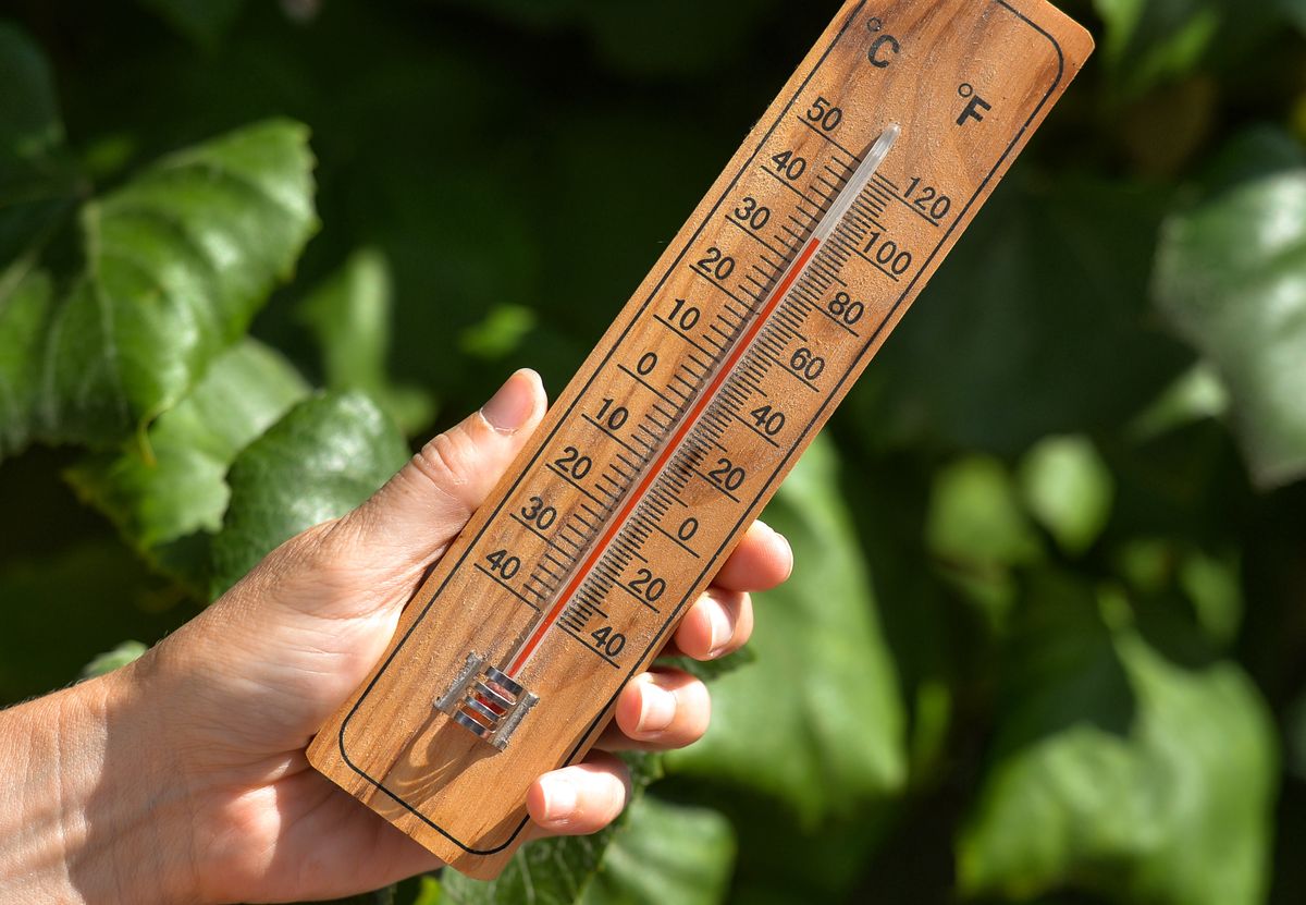 Słubice. W piątek padła niemal rekordowa temperatura w Polsce w 2020 roku