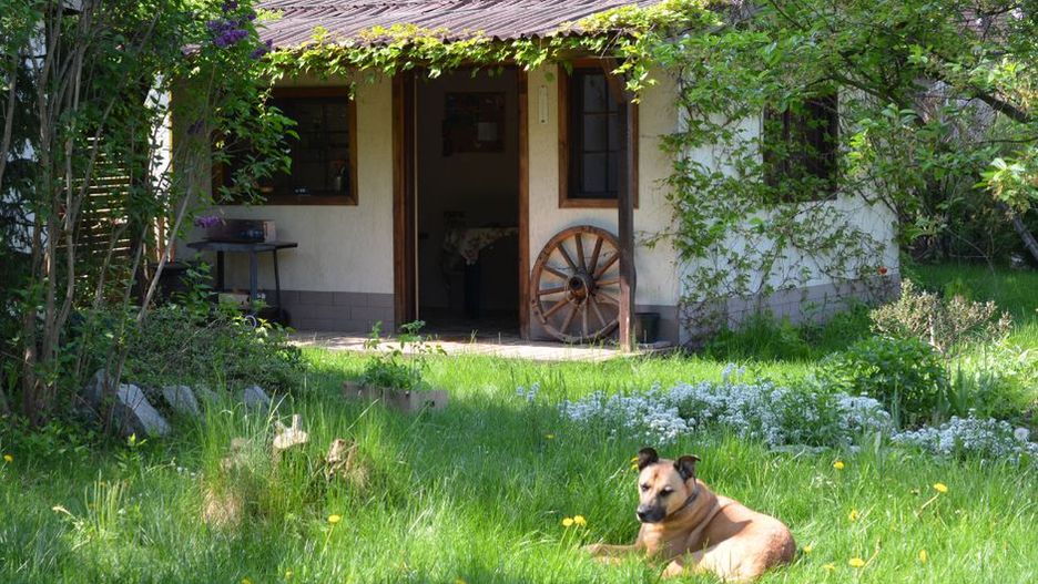 Zakazane na działce. Można dostać karę nawet 5 tys. zł