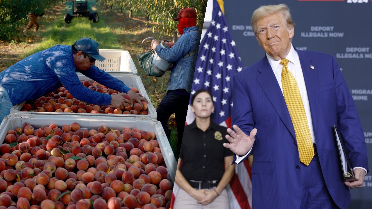 Amerykańskie rolnictwo w ogromnym stopniu bazuje na pracy imigra