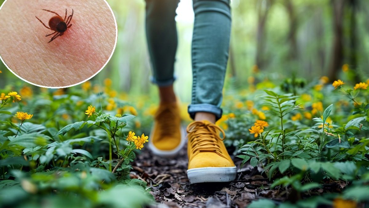 Co jeść, aby kleszcze nas unikały?