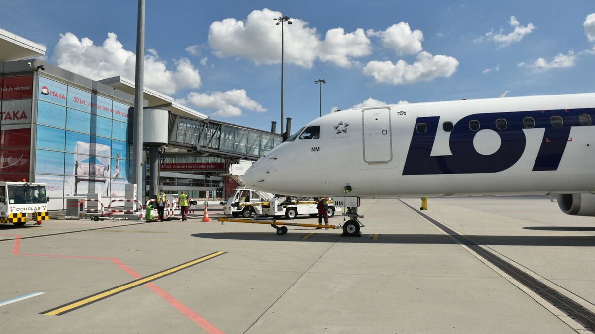 Polskie stewardesy zastępowane węgierskimi? Praktyki PLL LOT budzą zdumienie stewardes, czekających na zlecenia 