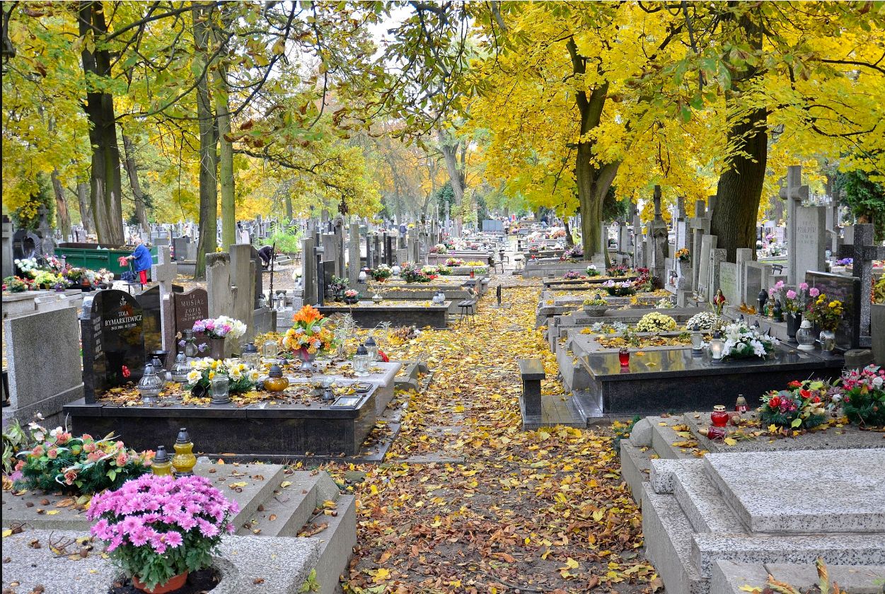 Groza na cmentarzu w Warszawie. Ludzie mają dość