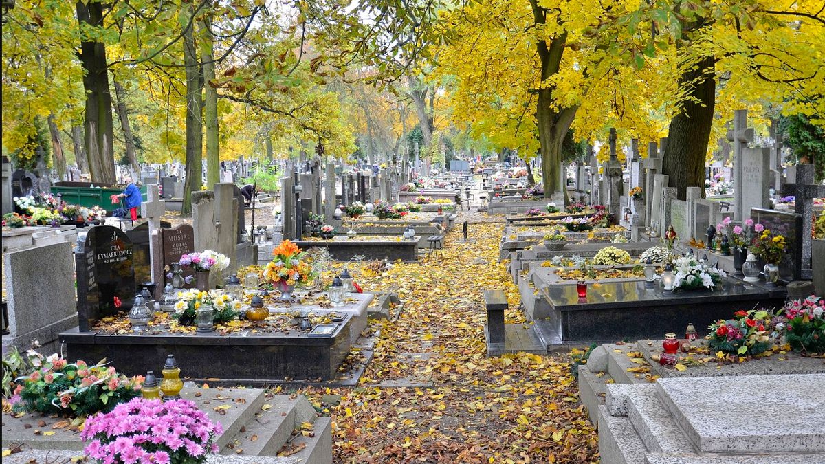 cmentarz Bródnowski/ zdjęcie poglądowe