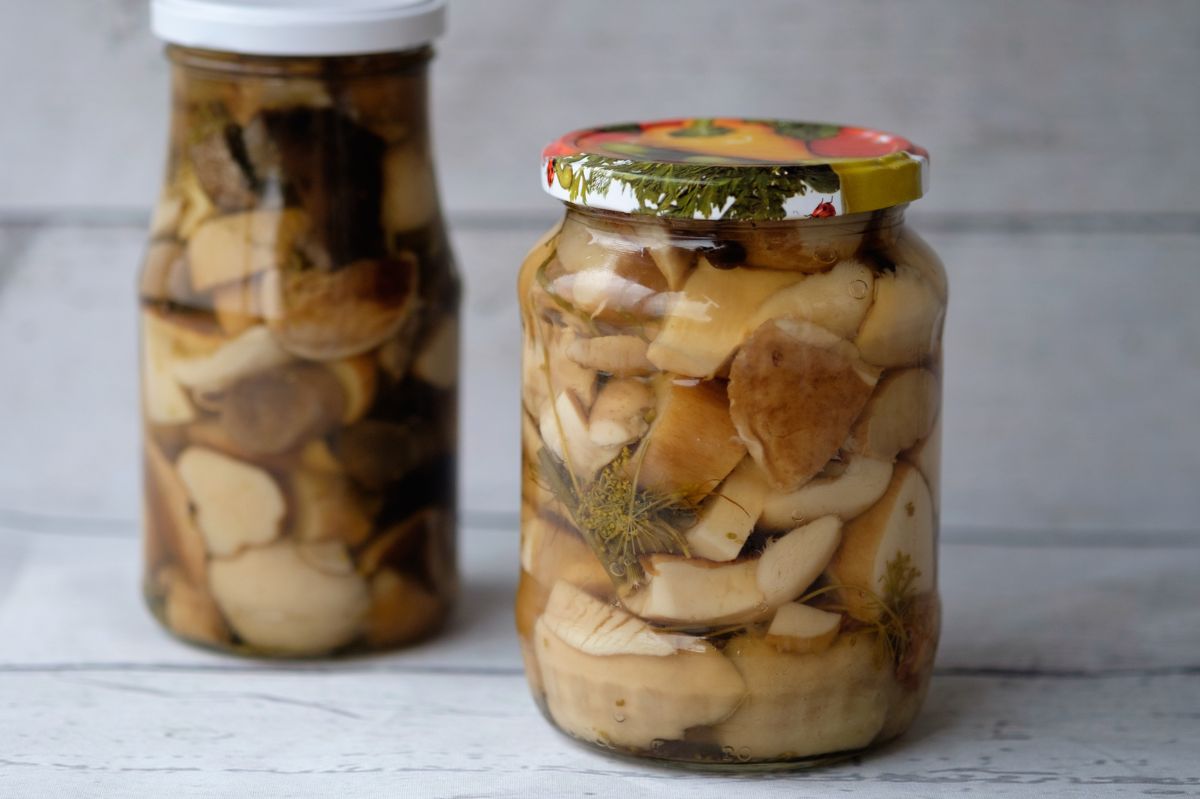 The best brine for pickled mushrooms