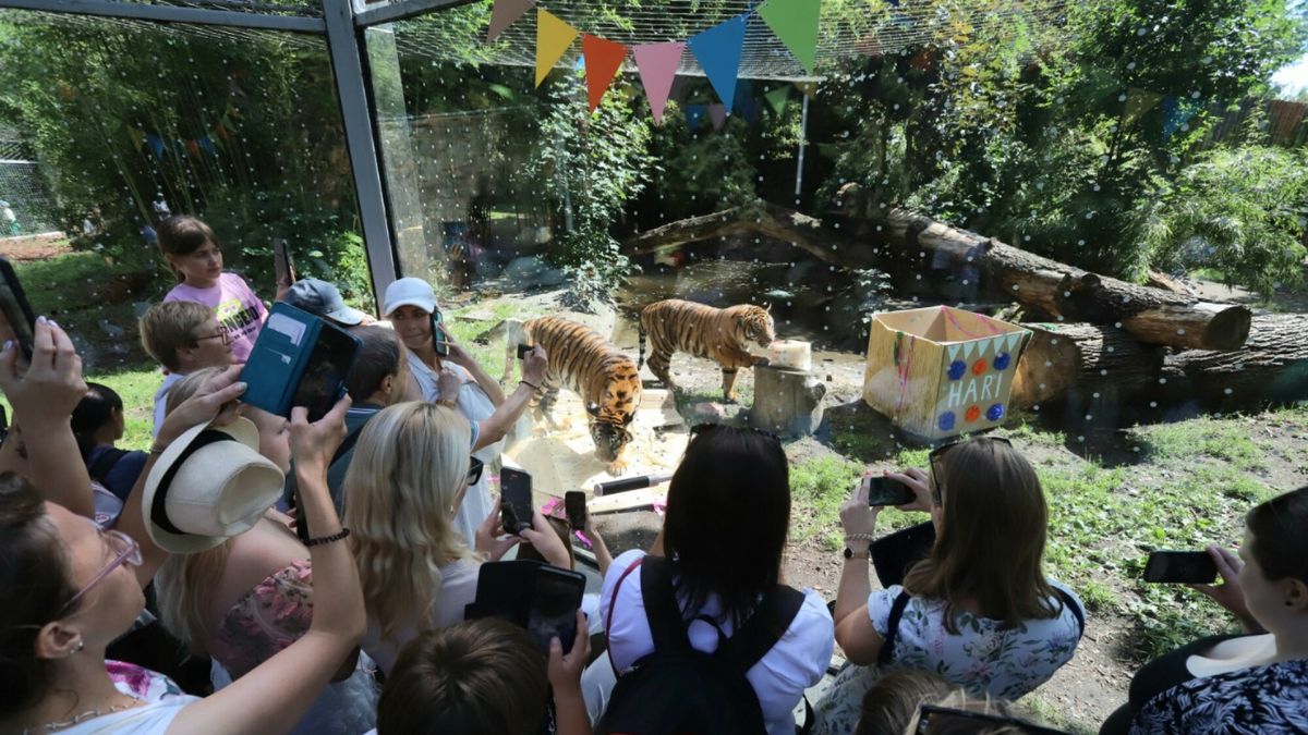 Wrocławskie ZOO ostrzega. "Chcemy Was uczulić"