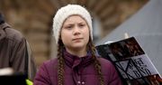 Black Friday 2020. Greta Thunberg ma specjalny apel. Chodzi o zakupy