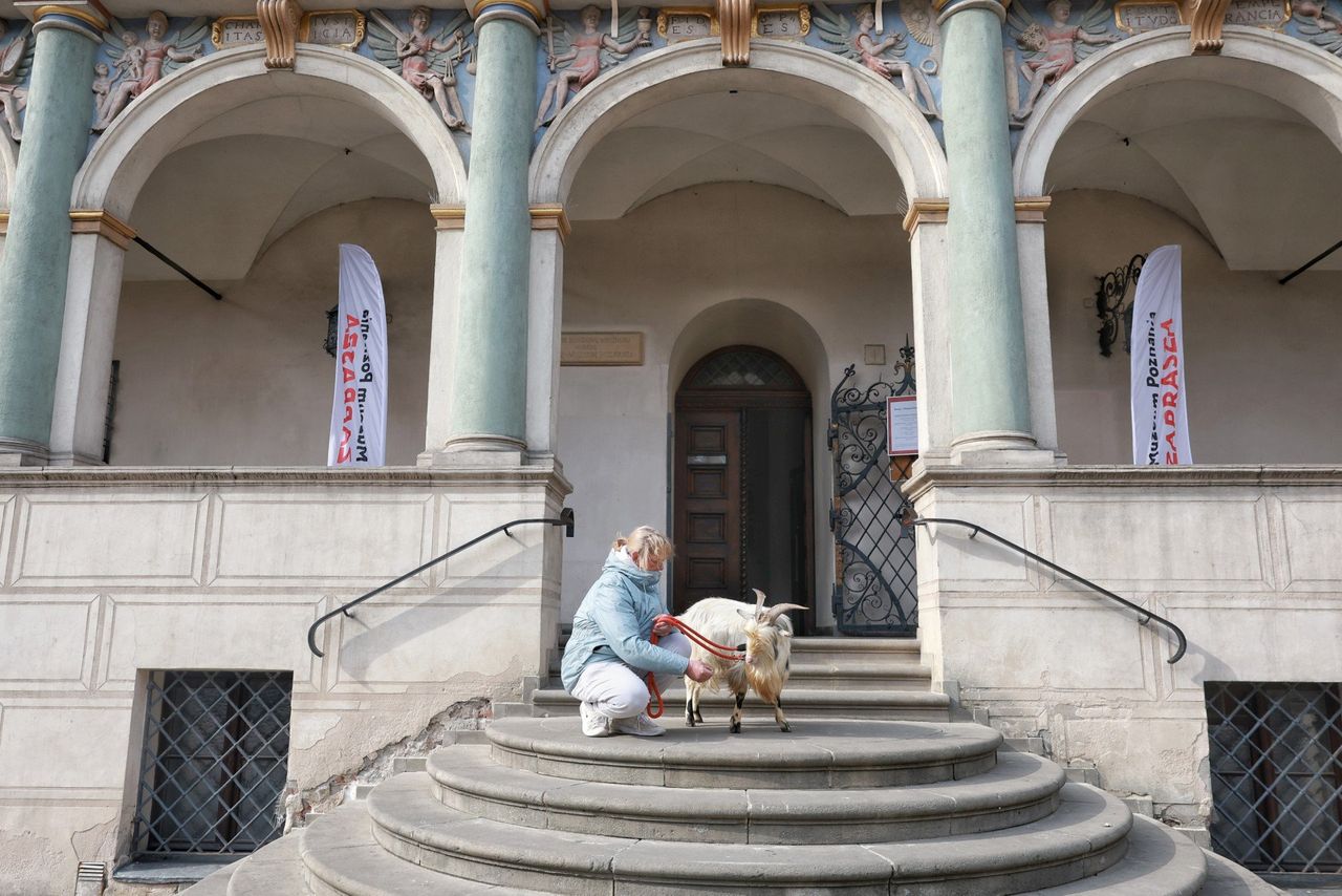 Wielkopolska: Legendy. Trochę historii, trochę baśni