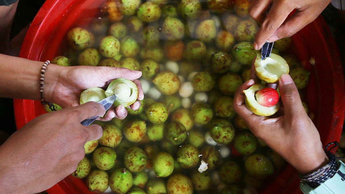 Nalewka z gałki muszkatołowej