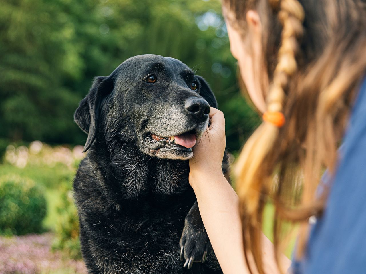 This is what it means when a dog looks into our eyes.