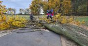Wichura w powiecie chodzieskim