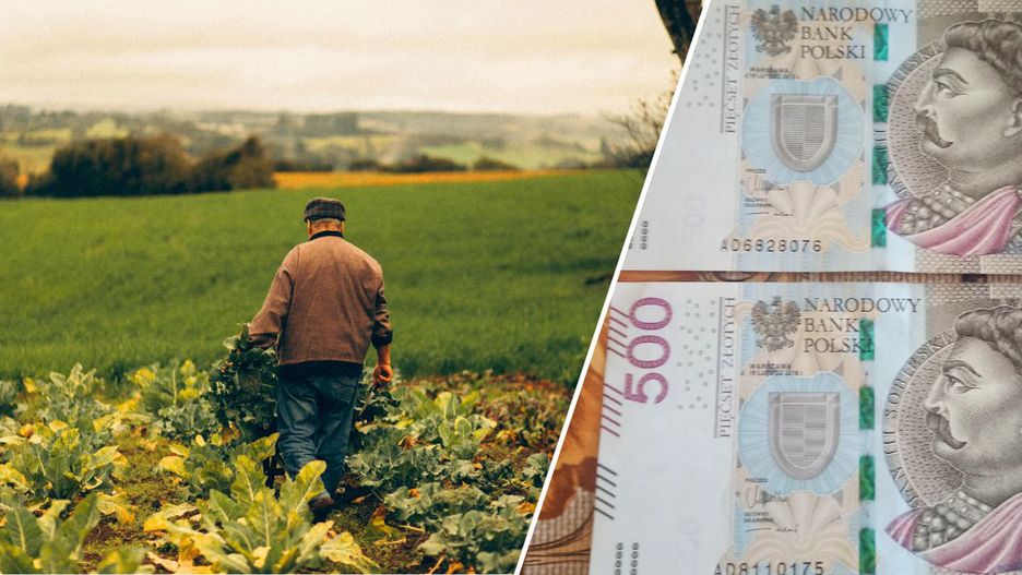 Zezwolenie na pracę sezonową w rolnictwie podrożeje 4-krotnie