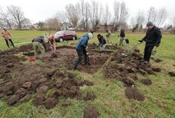 Odkryli krzyżacki skarb. Sensacja archeologiczna na Mazowszu