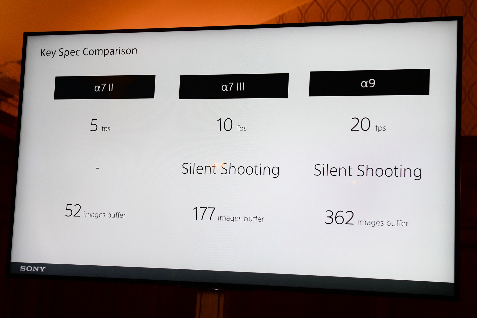 Sony A7 III, czyli podstawowa pełna klatka dla profesjonalistów - pierwsze wrażenia i zdjęcia przykładowe 10
