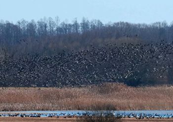 To nie fotomontaż. Były ich tysiące. Nagrane na polu
