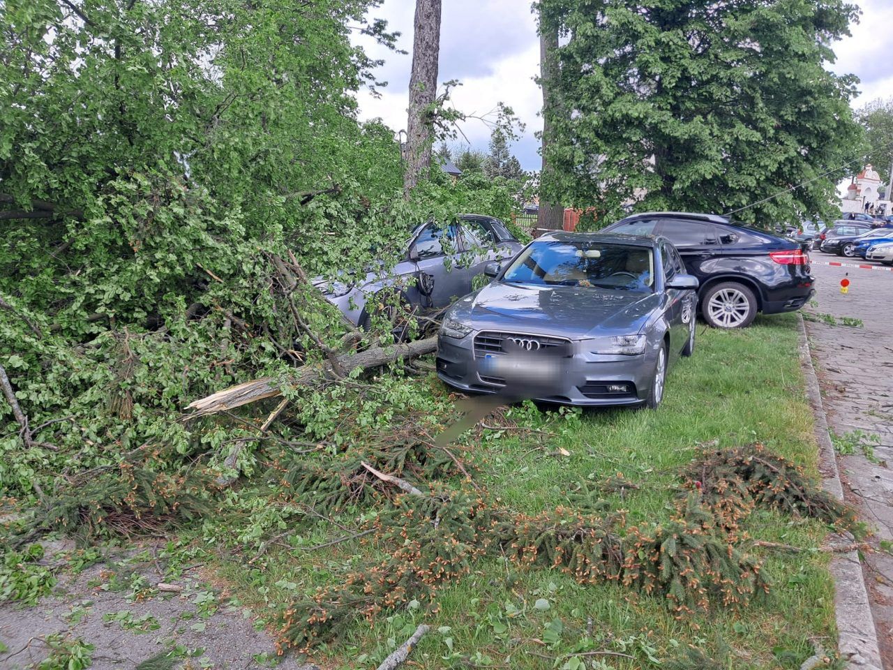 Lubelskie: Wiatr powalił drzewo. Osiem pojazdów uszkodzonych