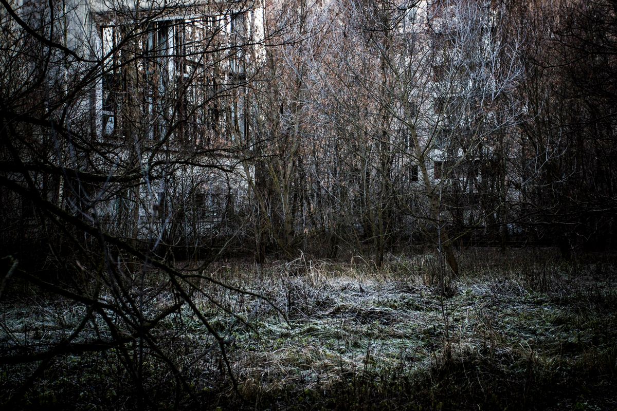 Poznaliśmy zwycięzców najbardziej prestiżowego konkursu fotograficznego w Polsce – Grand Press Photo 2016 18
