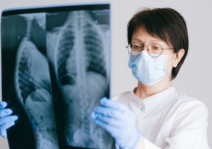Płuca - charakterystyka, choroby
