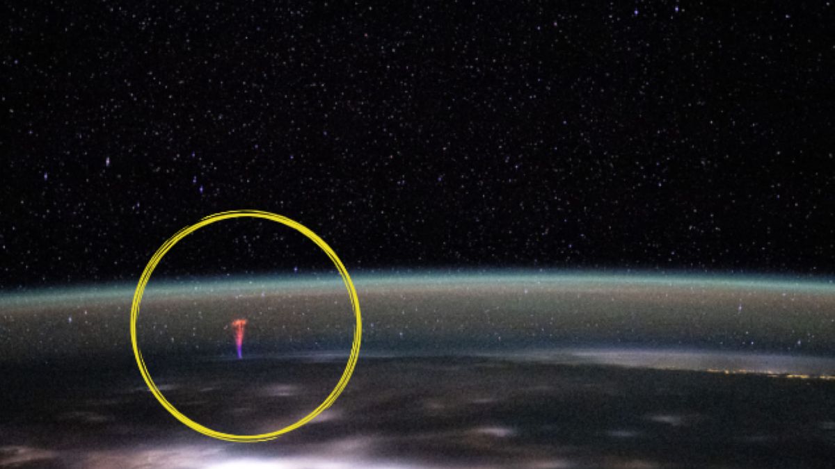 Niezwykłe zjawisko uchwycono na niebie. To blue jets.