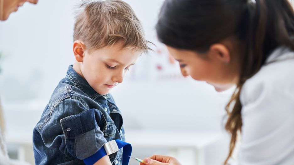 IgE całkowite – badanie, normy i wskazania