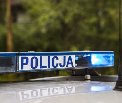 Makabryczne odkrycie. Ludzkie szczątki na jednej z prywatnych posesji