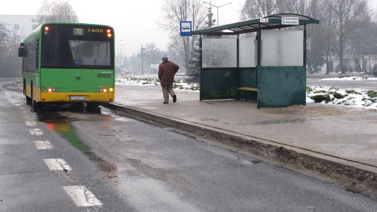 Zdjęcie jest ilustracją