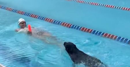Tak poczwórny mistrz olimpijski wyprowadza psa. Po mistrzowsku!