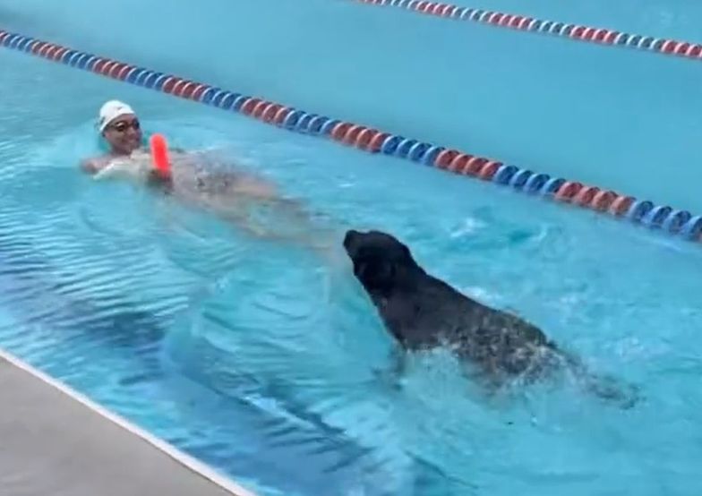 Tak poczwórny mistrz olimpijski wyprowadza psa. Po mistrzowsku!