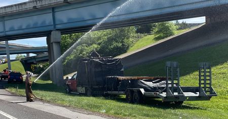 Autostrada w USA sparaliżowana. Wszystko przez pszczoły