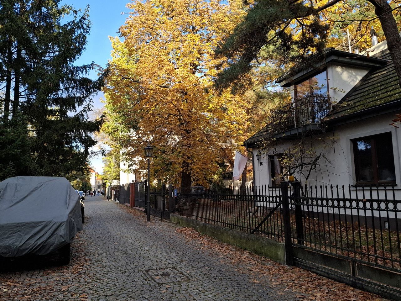 Warszawa: Brukowana alejka i wille. Jesienią wygląda obłędnie