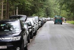 Chaos w Tatrach. Turyści masowo parkują na zakazie
