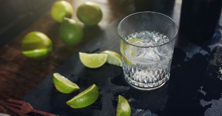 Gin z tonikiem na malarię? Tak zaczęła się historia znanego drinka