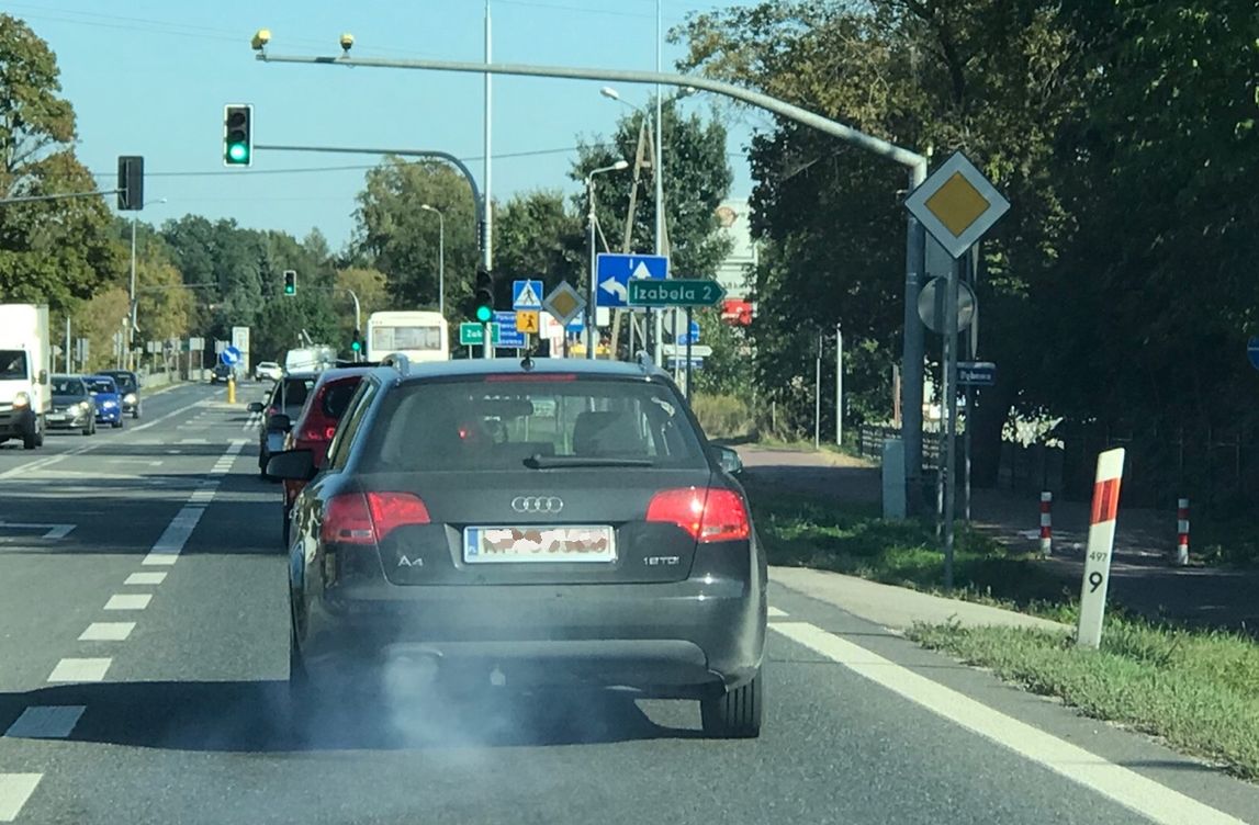 WŚRÓD PAŃSTW DĄŻĄCYCH DO DRASTYCZNEGO OBNIŻENIA EMISJI CO2, BARDZO AKTYWNI SĄ DUŃCZYCY