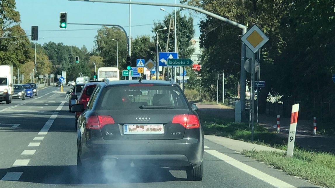 WŚRÓD PAŃSTW DĄŻĄCYCH DO DRASTYCZNEGO OBNIŻENIA EMISJI CO2, BARDZO AKTYWNI SĄ DUŃCZYCY