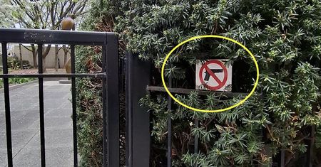 W USA taki widok to norma. Turystów z Europy wciąż zaskakuje
