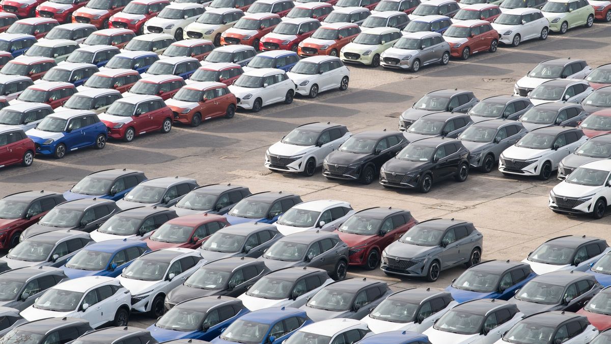 Reporter archiwum 2025 02
13.02.2025 Gdansk Port Gdanski Wolny Obszar Celny WOC Plac skladowyFot. Wojciech Strozyk/REPORTER
Wojciech Strozyk/REPORTER