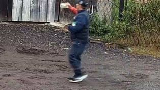 Obcy wszedł na posesję. Strażak ostrzega, mamy głos z policji