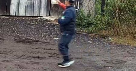 Obcy wszedł na posesję. Strażak ostrzega, mamy głos z policji