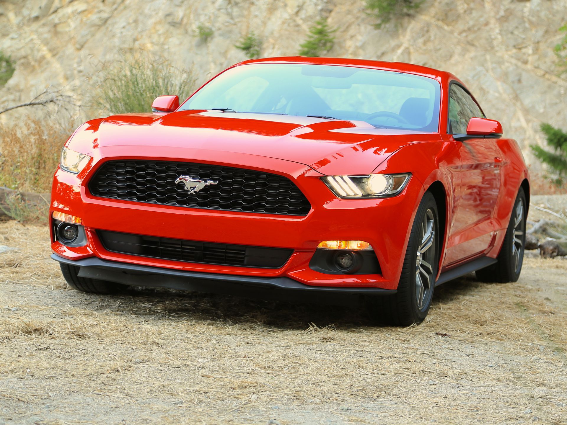 Ford Mustang 1