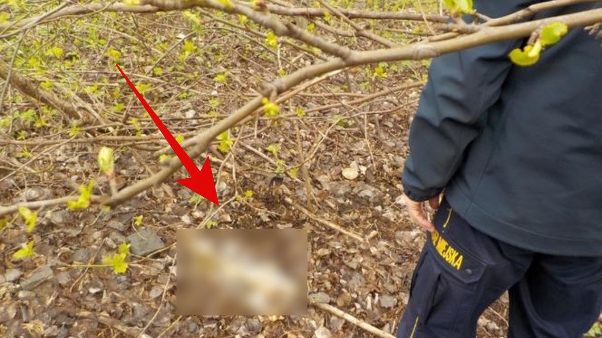 Szokujące znalezisko w Warszawie