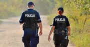 "Rabuś nie wzgardził porożem jelenia". Mężczyźnie grozi nawet 15 lat więzienia