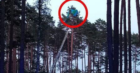 Poszukiwania 16-latki. Spadochroniarka wisiała 24 metry nad ziemią
