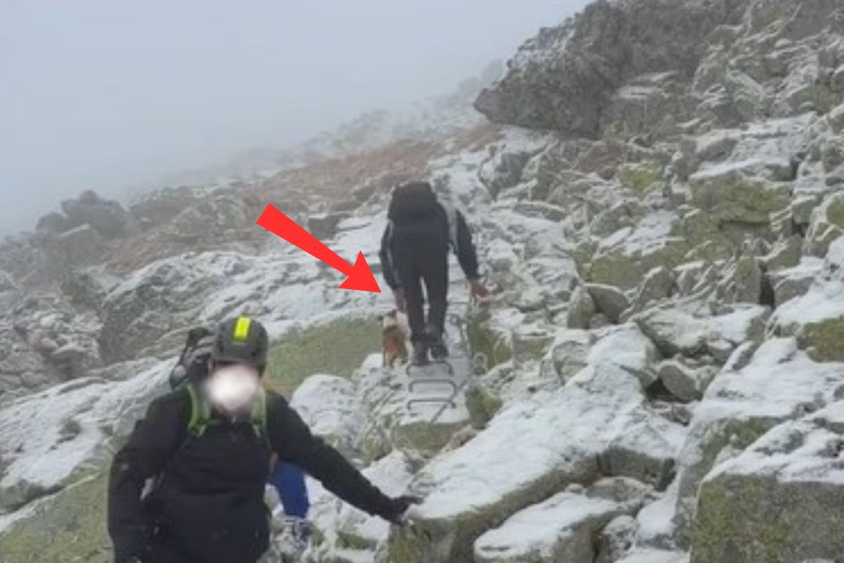 Nie do wiary. Tak szedł w Tatry. Zignorował nawet przewodnika