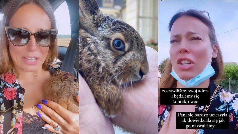 Anna Mucha ratuje zająca