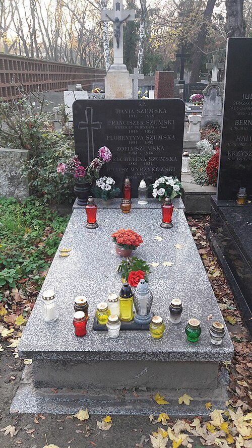 Grób Juliusza Wyrzykowskiegi