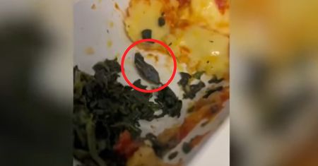 Szokujące znalezisko na pokładzie samolotu. Było w jedzeniu