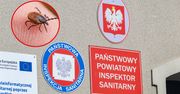 Sanepid ostrzega przed kleszczami. Jak się przed nimi chronić i o czym pamiętać?