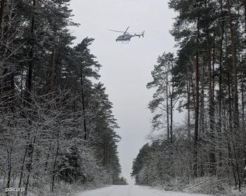 Dęba: Zaginiony 76-latek odnaleziony po dramatycznych poszukiwaniach. Mężczyzna przeszedł ponad 20 km w śniegu i mrozie