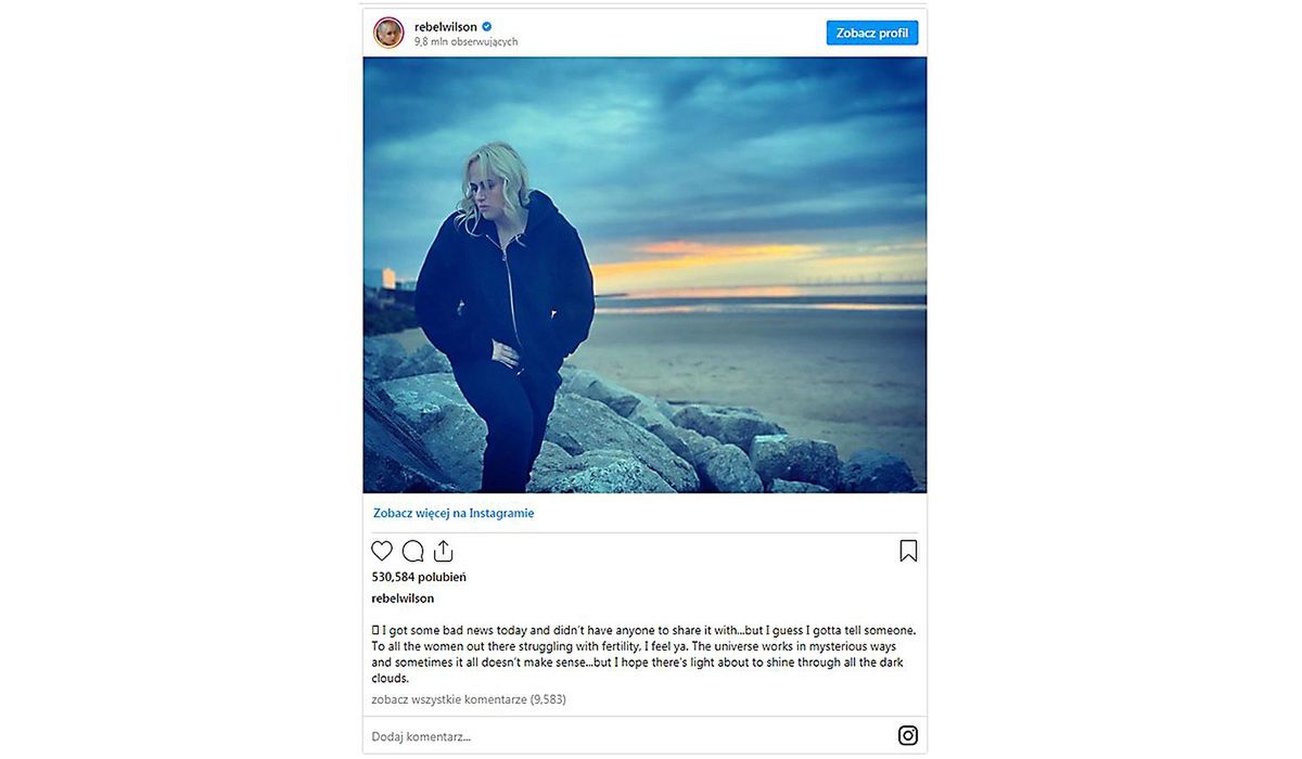 Instagram Rebel Wilson