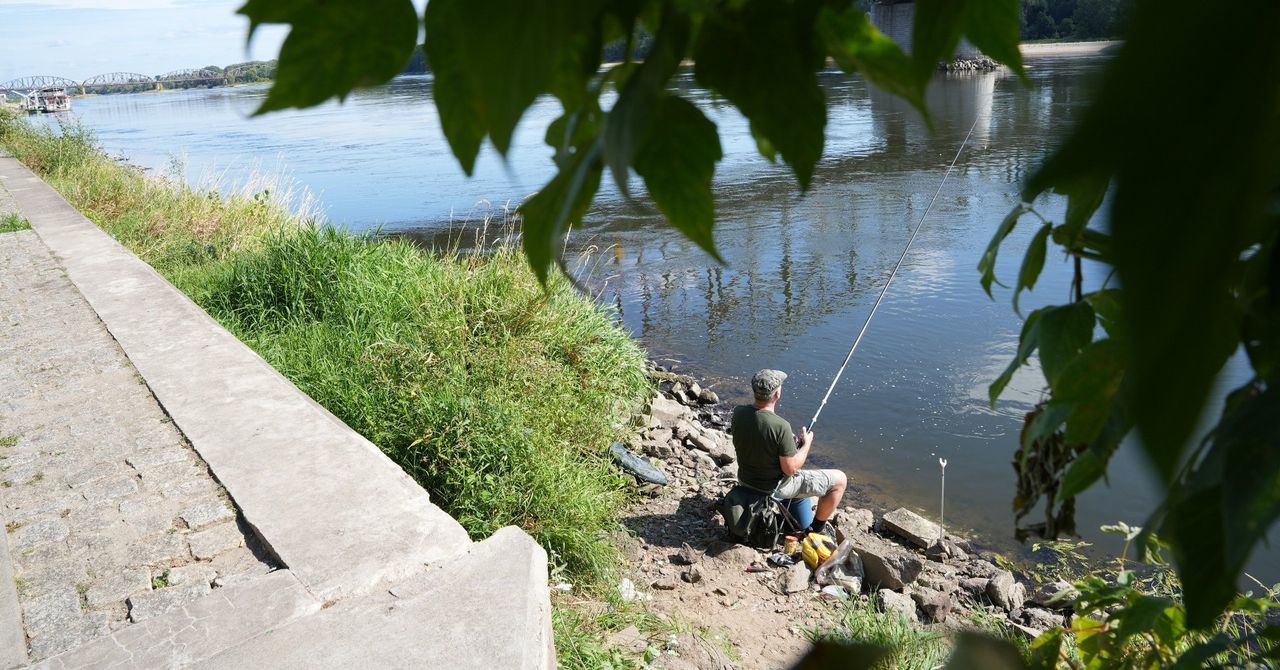 Toruń: Problemów z Wisłą coraz więcej. Będzie czyszczenie brzegu