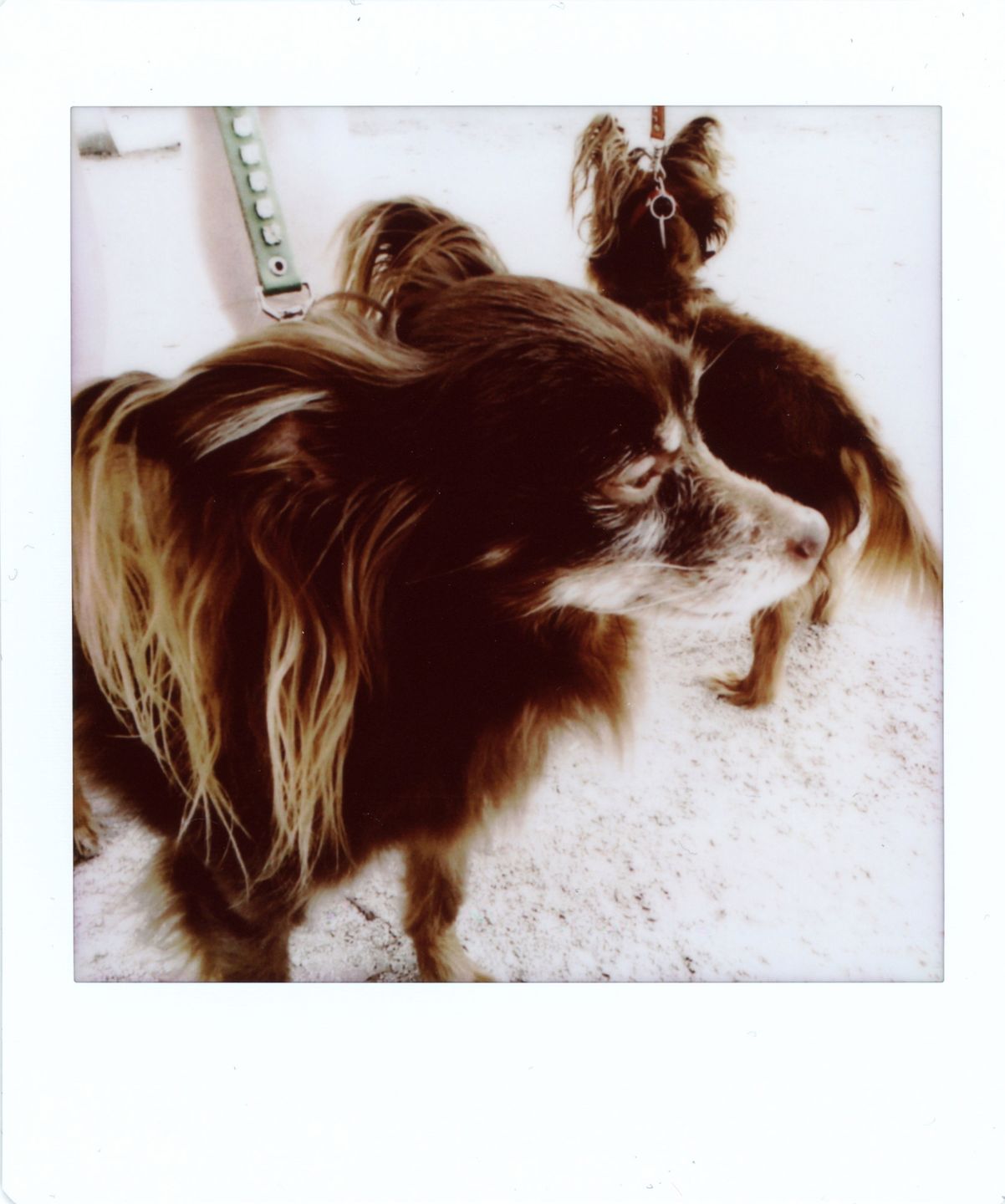 Fujifilm Instax Square SQ10 - kwadratowo, cyfrowo i natychmiastowo [test] 32